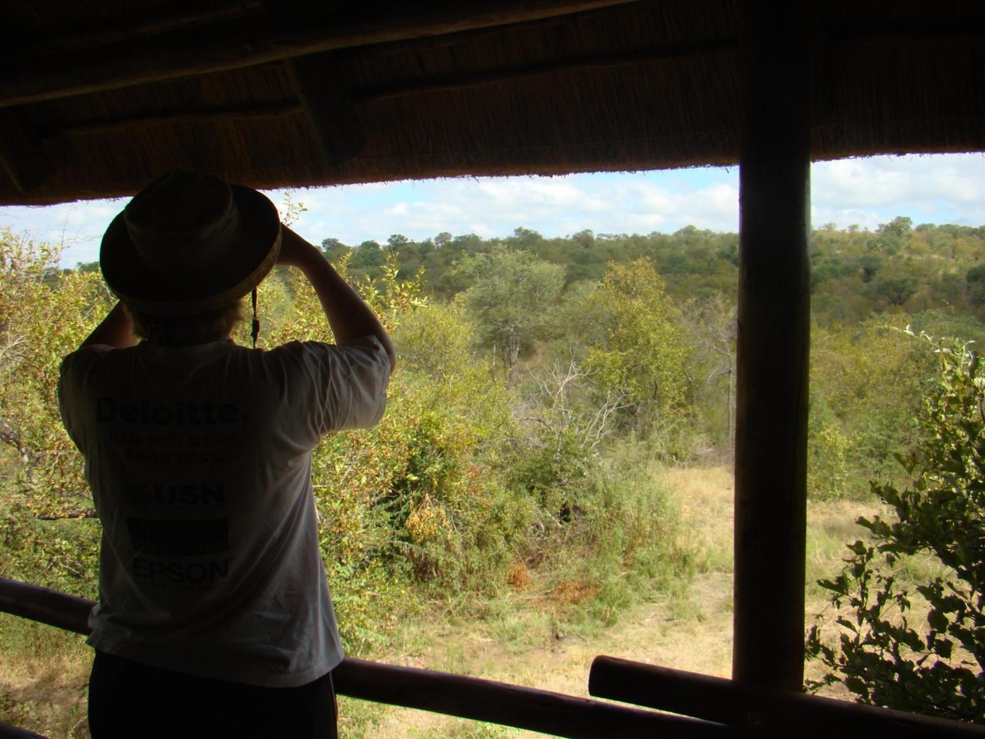 Muweti Bush Lodge Grietjie Game Reserve Номер фото