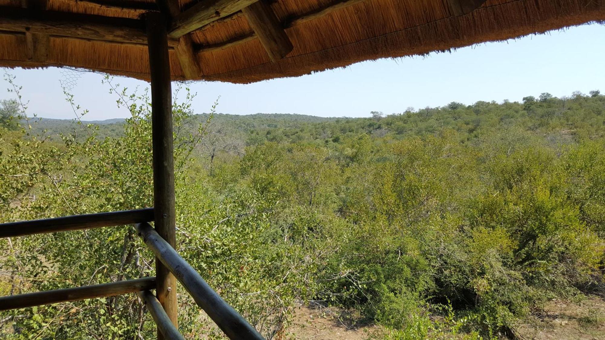 Muweti Bush Lodge Grietjie Game Reserve Номер фото