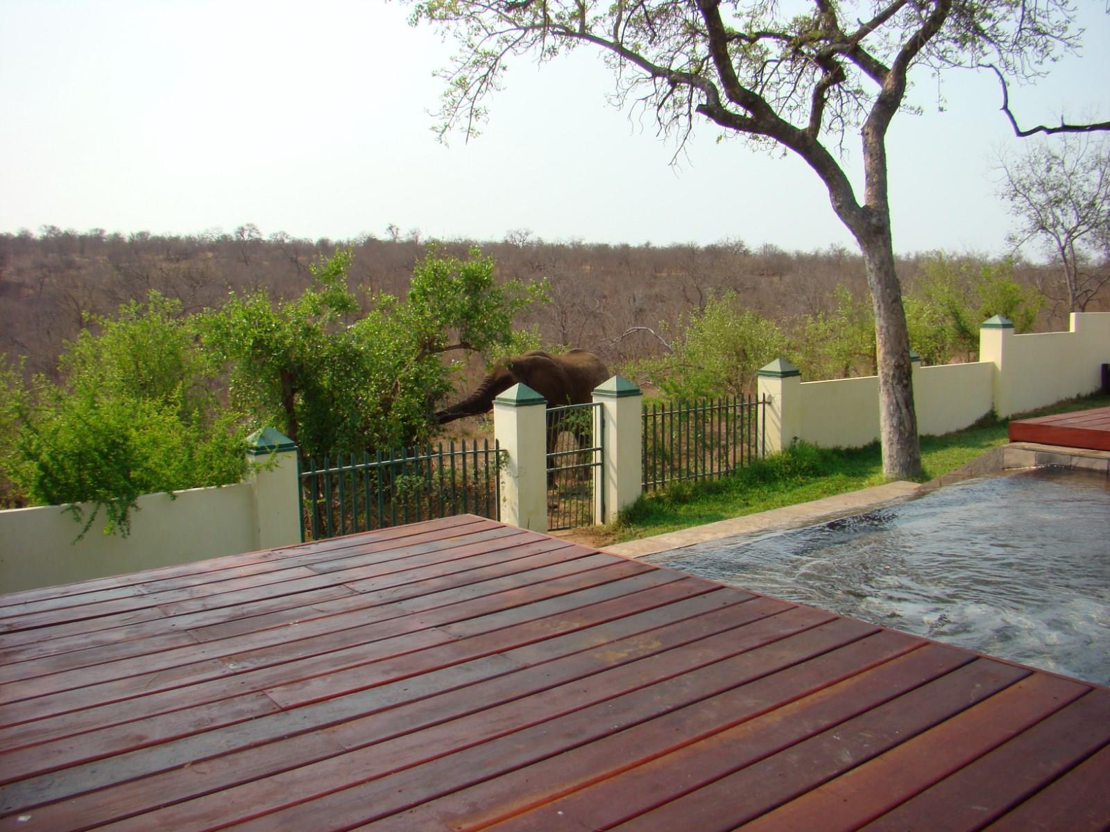 Muweti Bush Lodge Grietjie Game Reserve Экстерьер фото