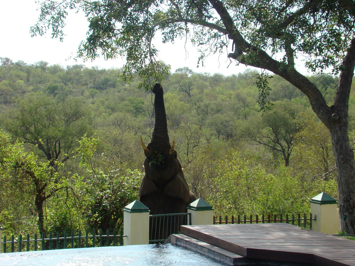 Muweti Bush Lodge Grietjie Game Reserve Экстерьер фото